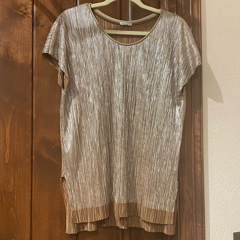 Zara Metallic Gold Top